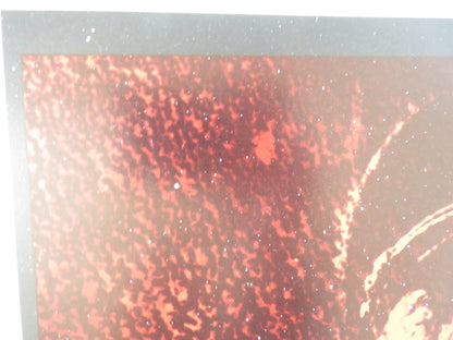 SLAUGHTERHOUSE FIVE ITALIAN LOCANDINA POSTER MICHAEL SACKS RON LEIBMAN 1982 Rendezvous Cinema Movie posters