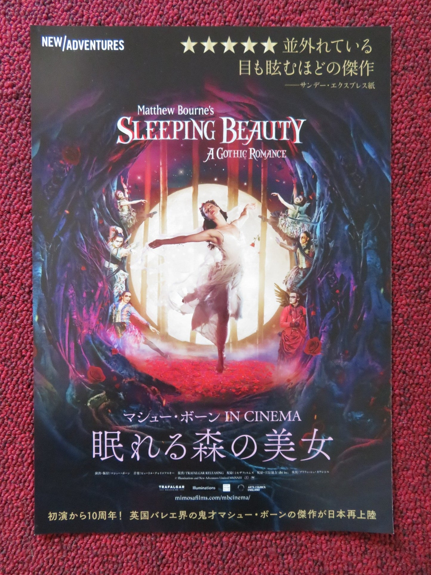 SLEEPING BEAUTY A GOTHIC ROMANCE JAPANESE CHIRASHI (B5) POSTER H.VASSALLO 2013 Rendezvous Cinema Movie posters