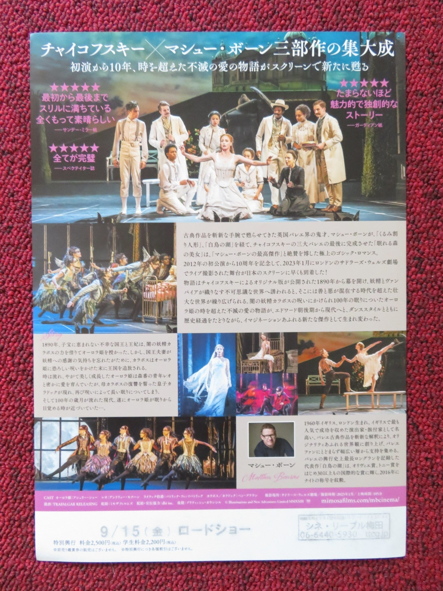 SLEEPING BEAUTY A GOTHIC ROMANCE JAPANESE CHIRASHI (B5) POSTER H.VASSALLO 2013 Rendezvous Cinema Movie posters