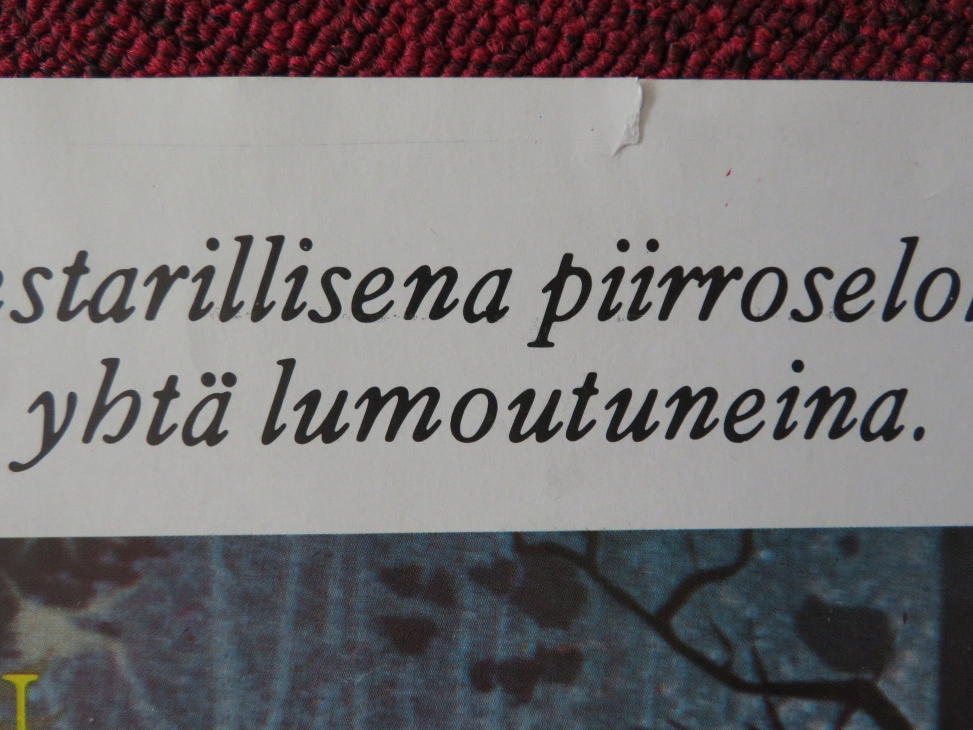 SLEEPING BEAUTY / PRINSESSA RUUSUNEN FINLAND POSTER DISNEY MARY COSTA 1959 Rendezvous Cinema Movie posters