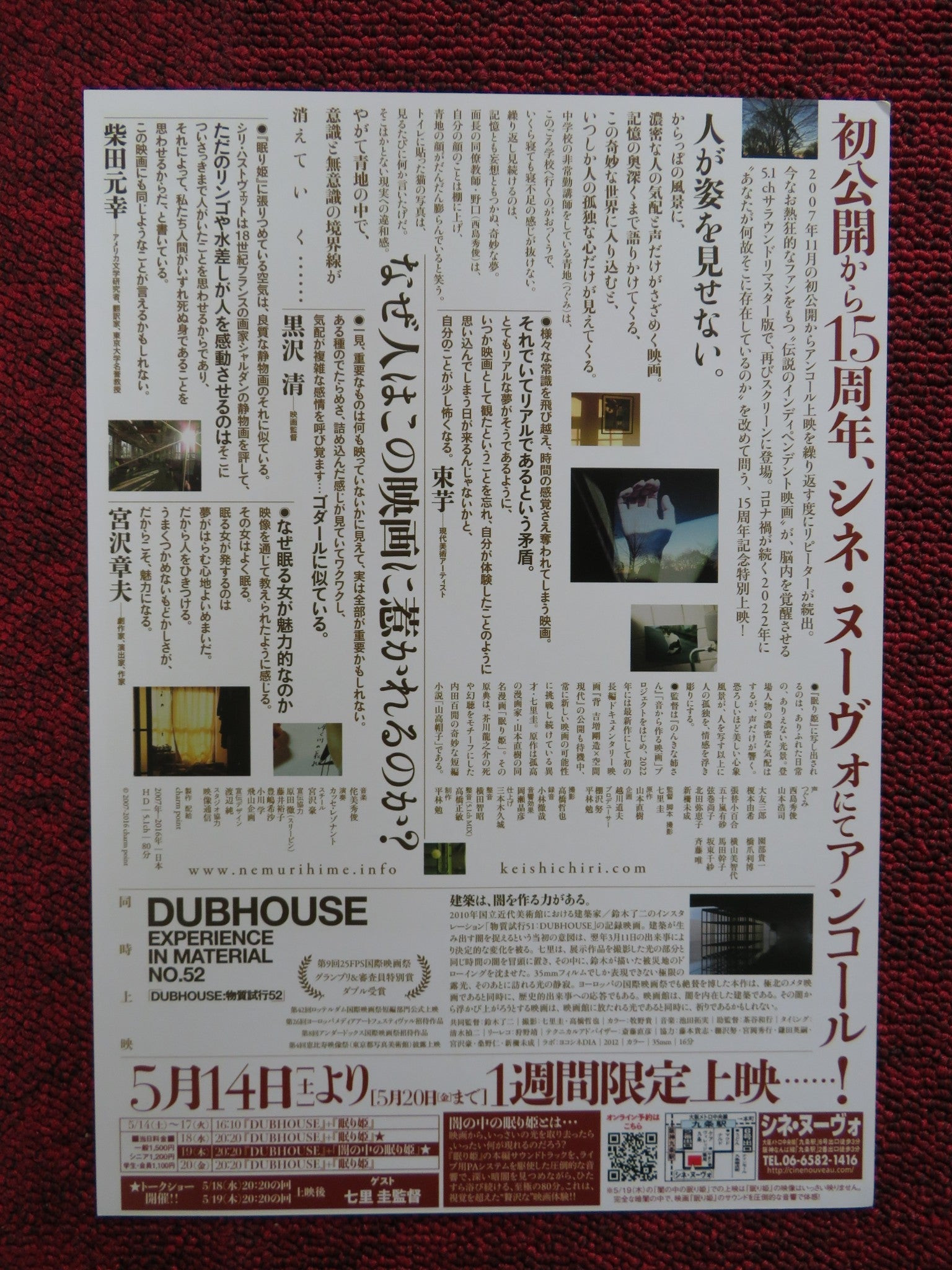 SLEEPLING BEAUTY 15TH ANNIVERSARY SCREEN JAPANESE CHIRASHI (B5) POSTER 2022 Rendezvous Cinema Movie posters