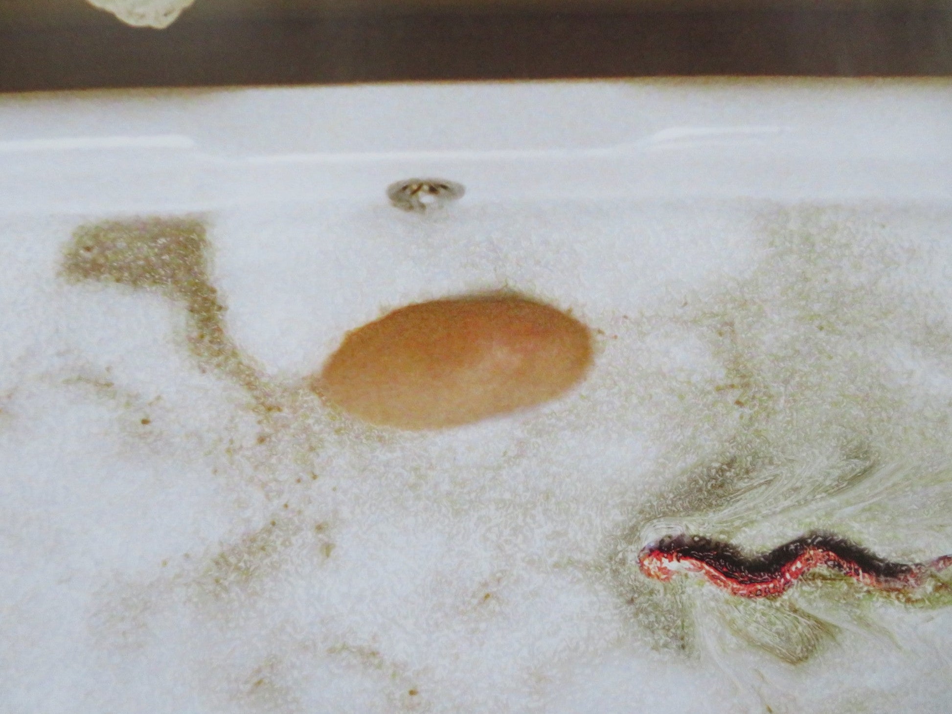 SLITHER UK QUAD (30"x 40") ROLLED POSTER DON THOMPSON NATHAN FILLION 2006 Rendezvous Cinema Movie posters