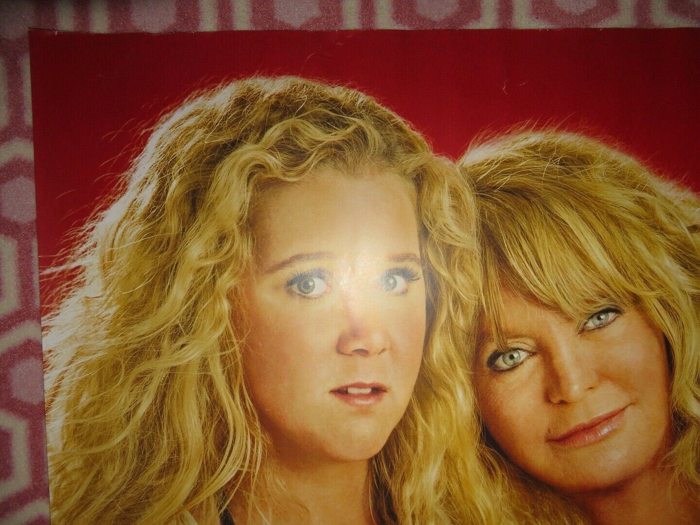 SNATCHED QUAD (30"x 40") ROLLED POSTER GOLDIE HAWN AMY SCHUMER 2017 Movie posters