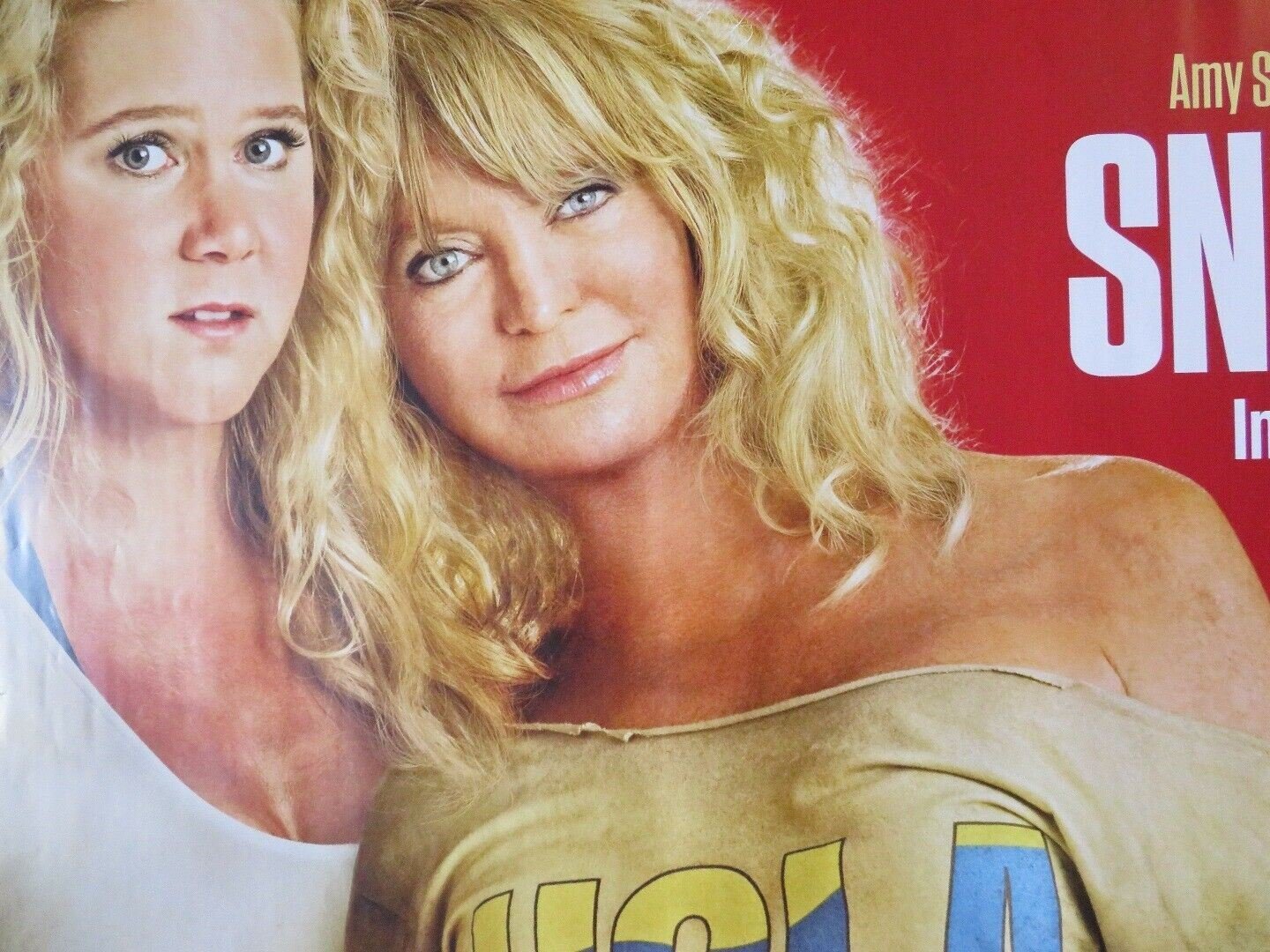 SNATCHED QUAD (30"x 40") ROLLED POSTER GOLDIE HAWN AMY SCHUMER 2017 Movie posters