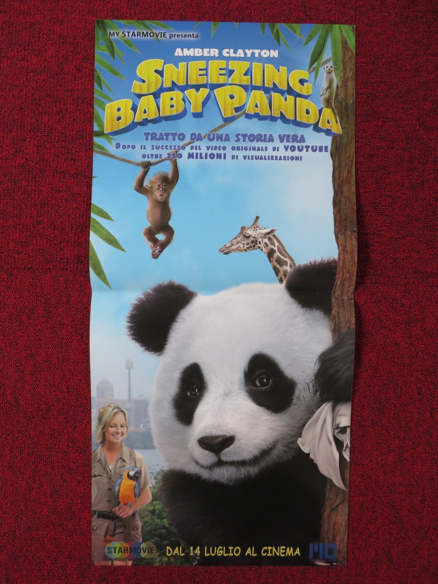 SNEEZING BABY PANDA: THE MOVIE ITALIAN LOCANDINA POSTER AMBER CLAYTON 2015 Rendezvous Cinema Movie posters