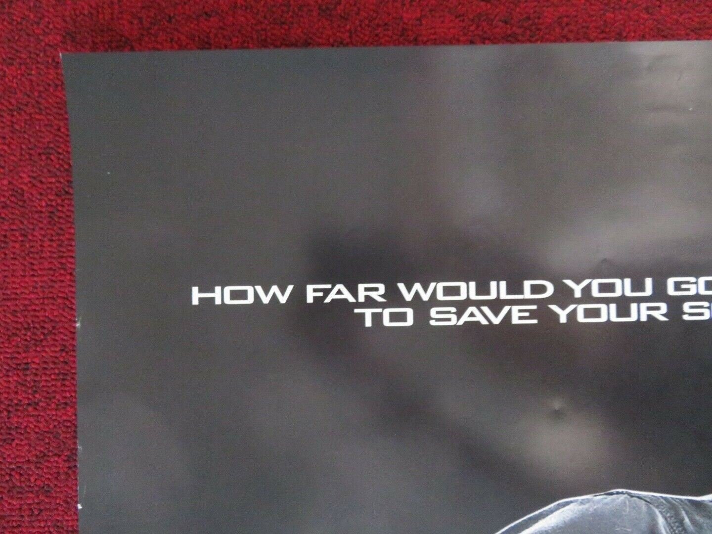 SNITCH US ONE SHEET ROLLED POSTER DWAYNE JOHNSON SUSAN SARANDON 2013 Movie posters