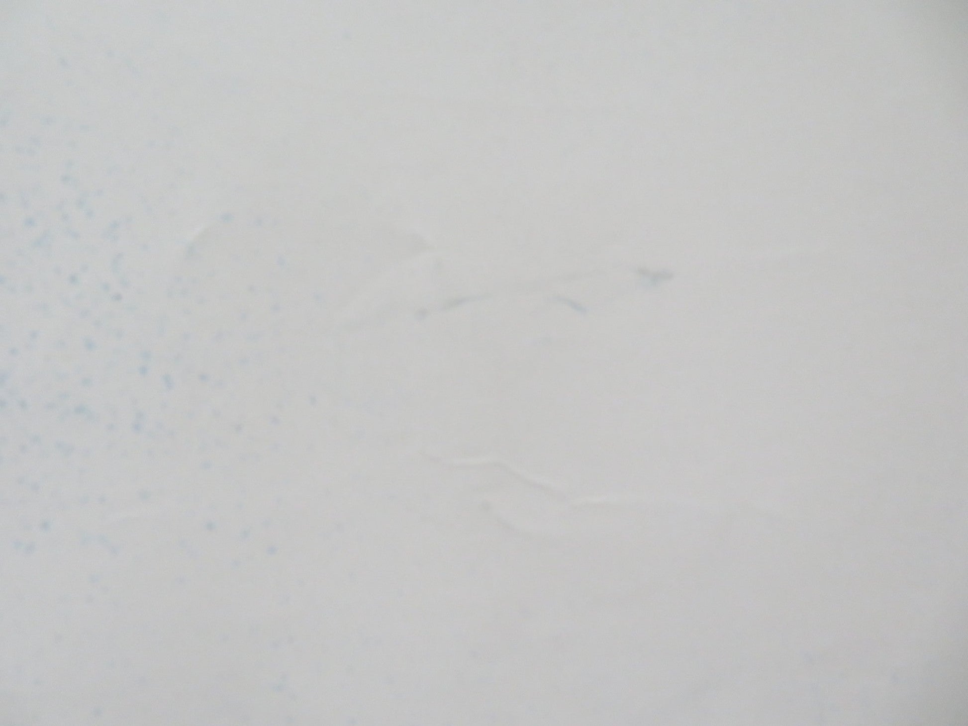 SNOW FALLING ON CEDARS UK QUAD (30"x 40") ROLLED POSTER ETHAN HAWKE 1999 Rendezvous Cinema Movie posters