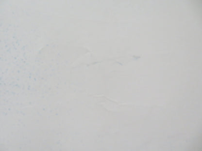 SNOW FALLING ON CEDARS UK QUAD (30"x 40") ROLLED POSTER ETHAN HAWKE 1999 Rendezvous Cinema Movie posters