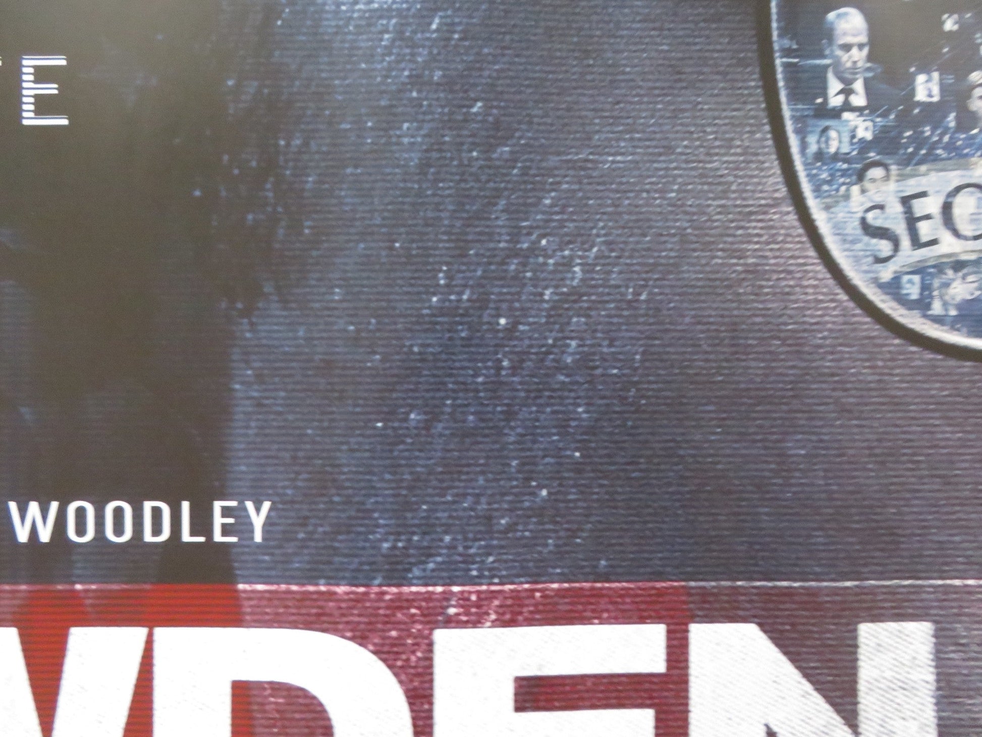 SNOWDEN UK QUAD (30"x 40") ROLLED POSTER JOSEPH GORDON - LEVITT S. WOODLEY 2016 Rendezvous Cinema Movie posters