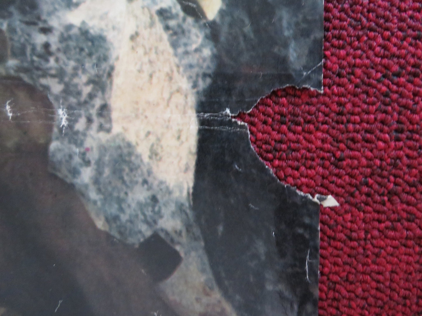 SO YOUNG, SO LOVELY, SO VICIOUS.... ITALIAN FOGLIO POSTER GLORIA DAGMAR 1975 Rendezvous Cinema Movie posters