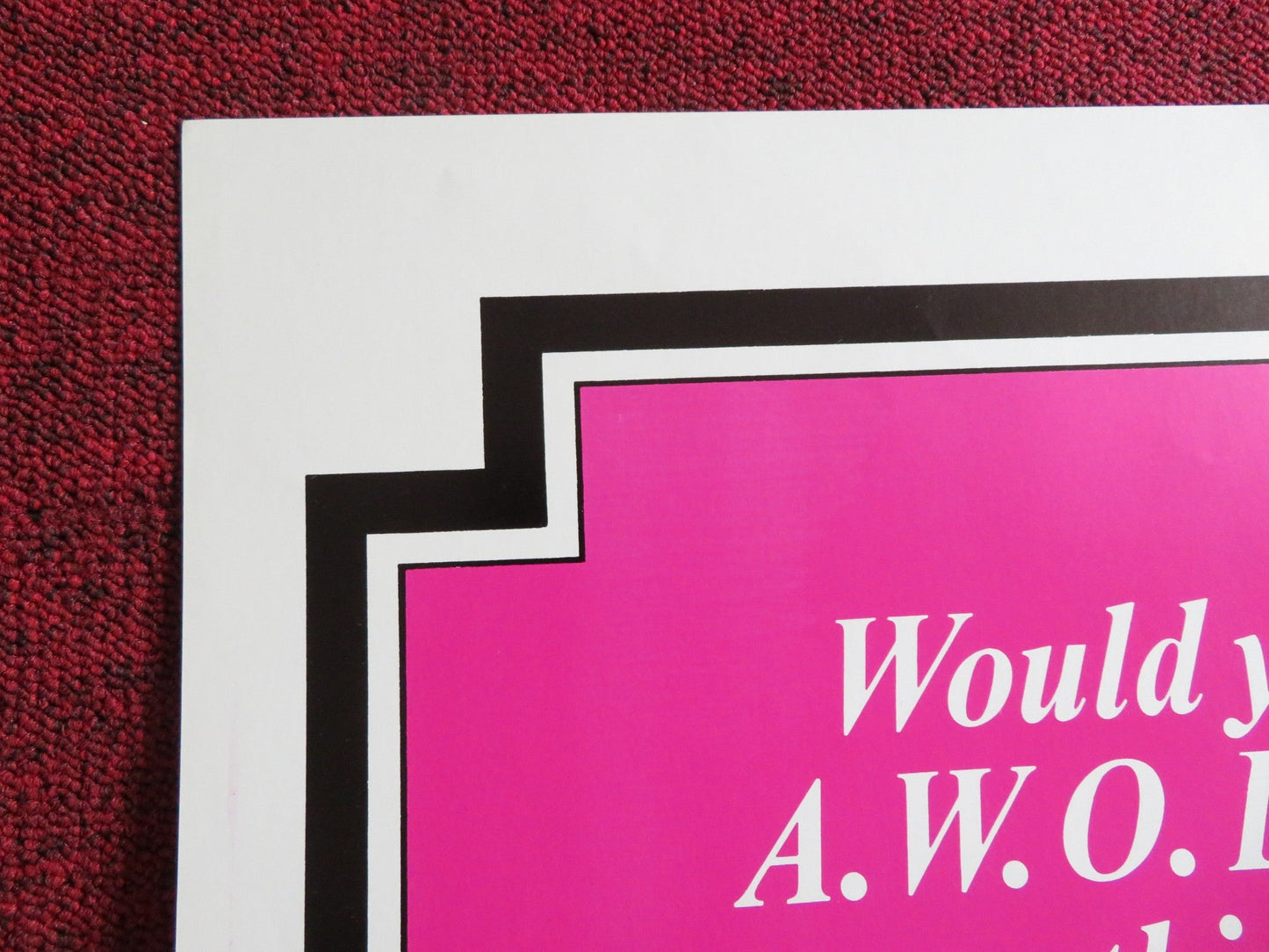 SOLDIER IN SKIRTS / THE TRIPLE ECHO US TRI FOLDED ONE SHEET ROLLED POSTER 1972 Rendezvous Cinema Movie posters