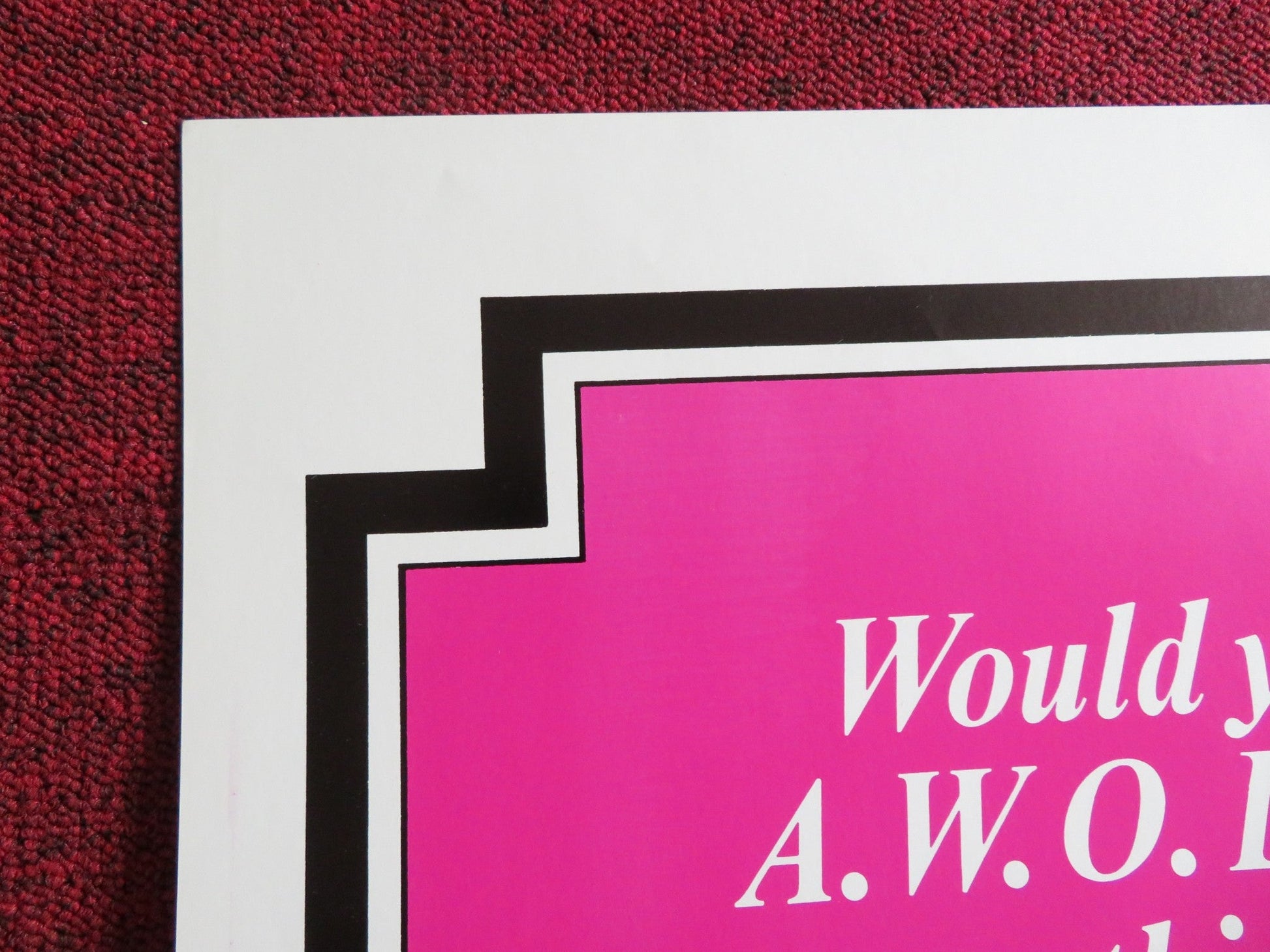 SOLDIER IN SKIRTS / THE TRIPLE ECHO US TRI FOLDED ONE SHEET ROLLED POSTER 1972 Rendezvous Cinema Movie posters