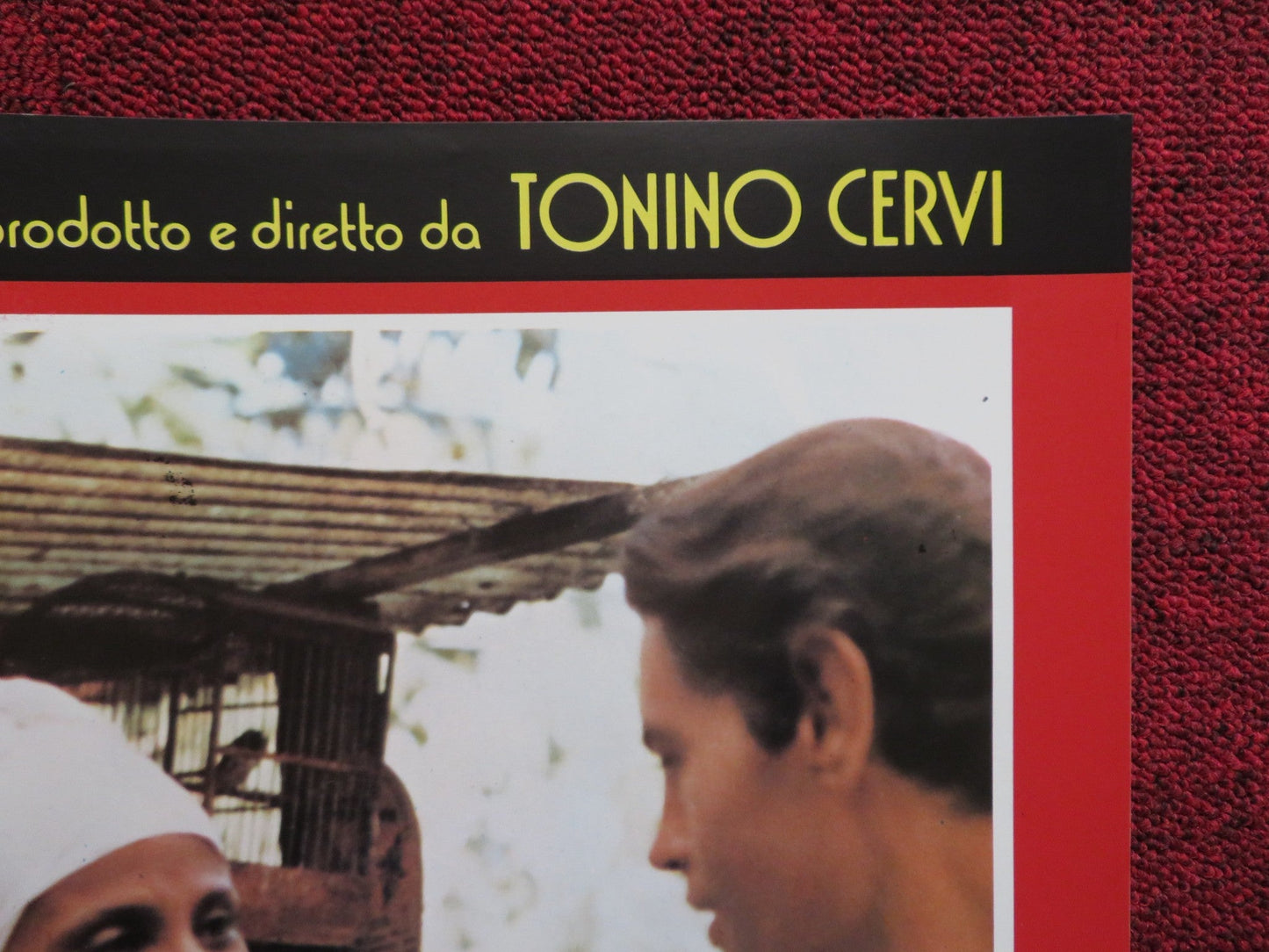 SOLE NUDO - B ITALIAN FOTOBUSTA POSTER DAVID BRANDON TANIA ALVES 1984 Rendezvous Cinema Movie posters