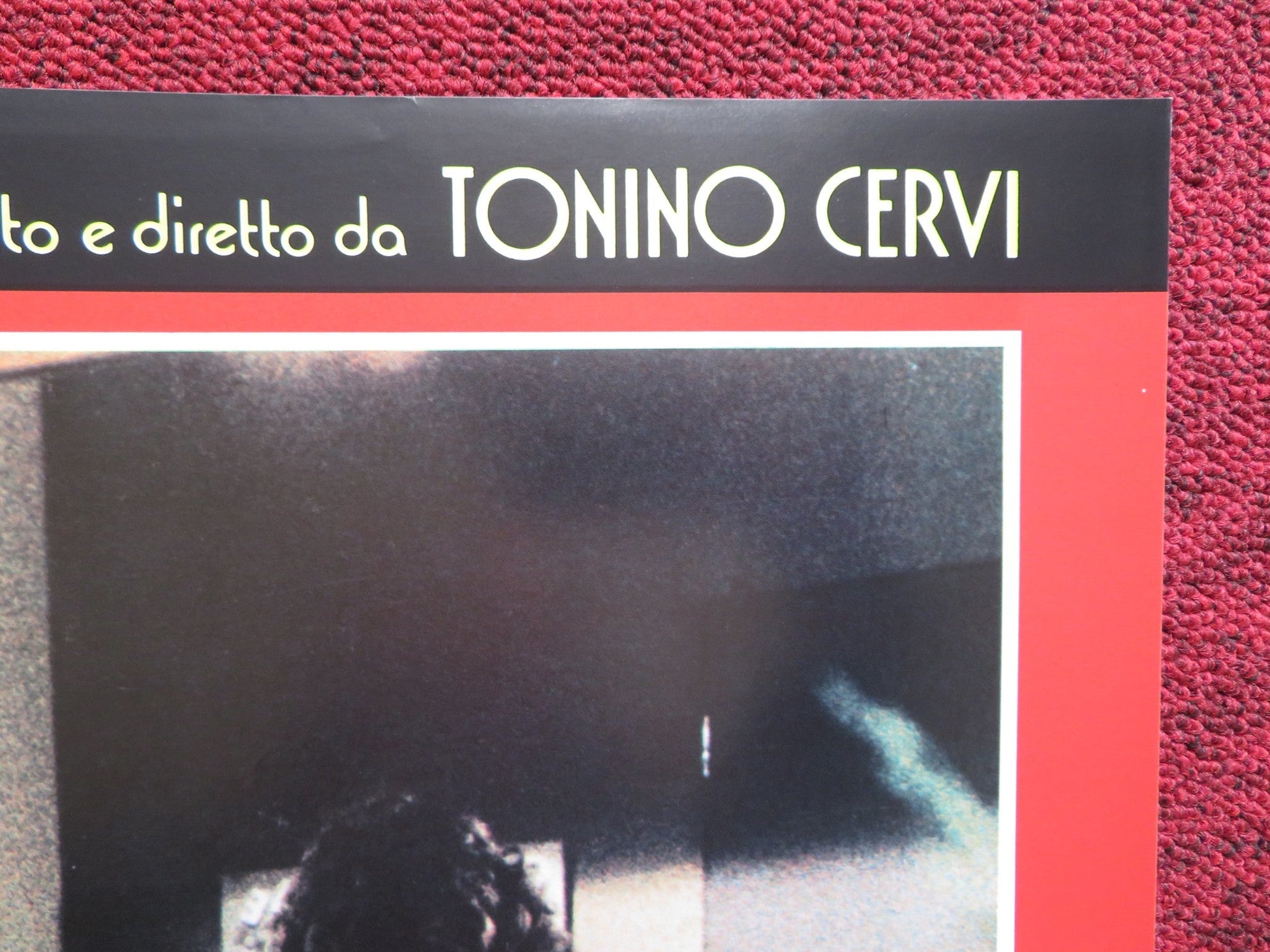 SOLE NUDO - E ITALIAN FOTOBUSTA POSTER DAVID BRANDON TANIA ALVES 1984 Rendezvous Cinema Movie posters