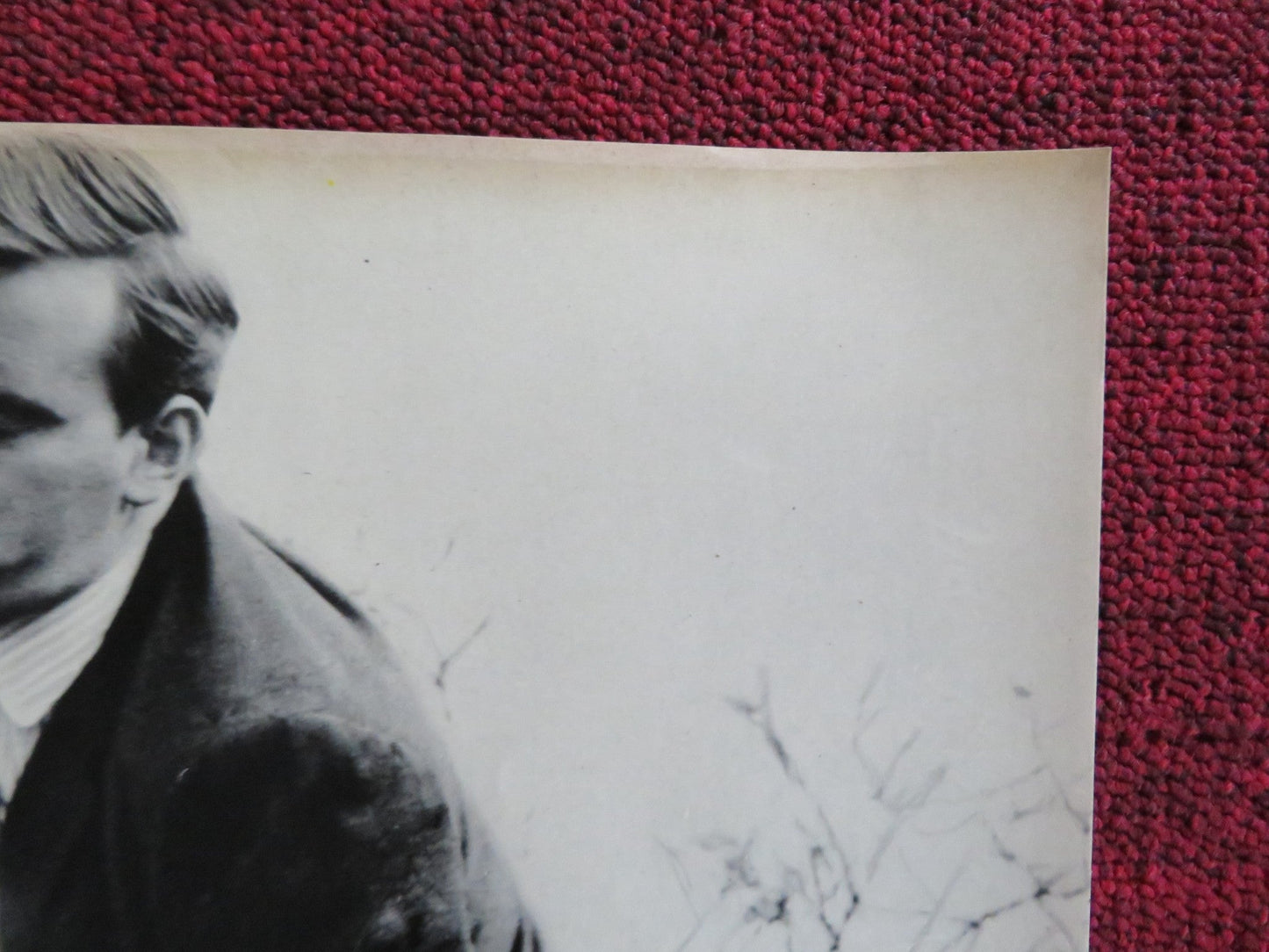 SOLO FOR SPARROW - D ITALIAN FOTOBUSTA POSTER ANTHONY NEWLANDS GLYN HOUSTON 1962 Rendezvous Cinema Movie posters