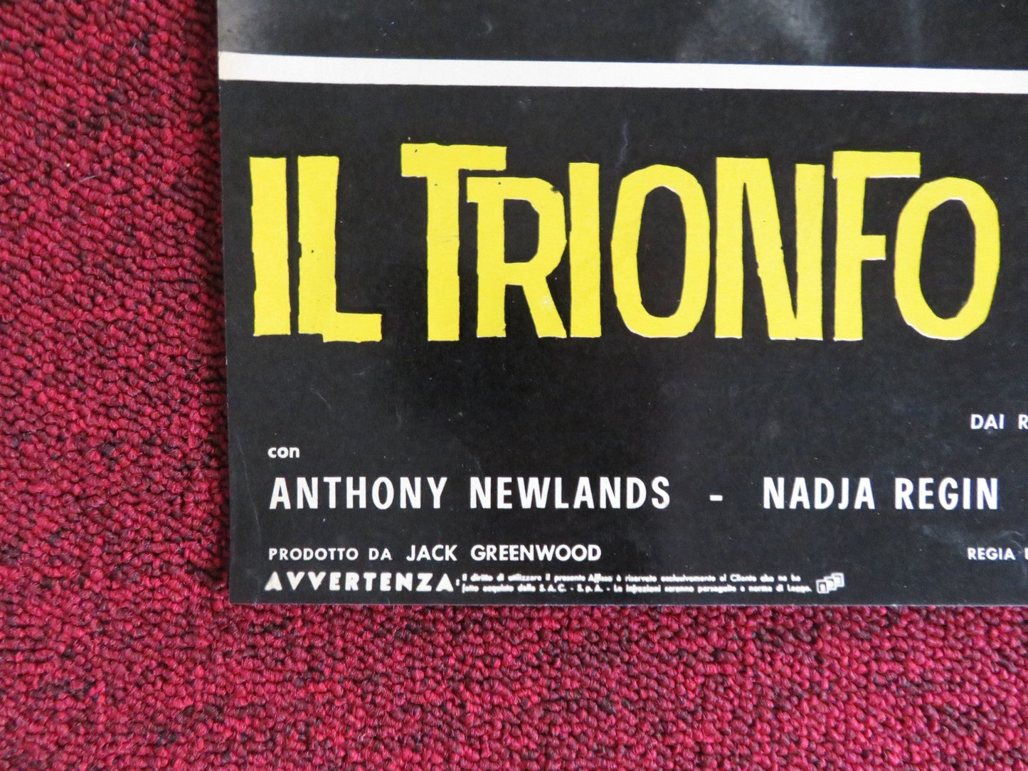 SOLO FOR SPARROW - F ITALIAN FOTOBUSTA POSTER ANTHONY NEWLANDS GLYN HOUSTON 1962 Rendezvous Cinema Movie posters