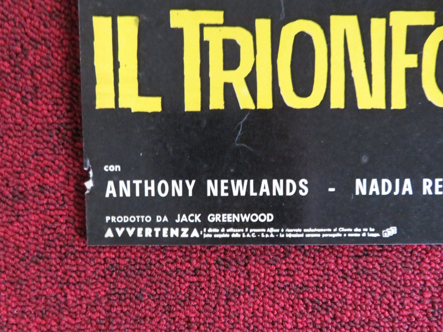 SOLO FOR SPARROW - G ITALIAN FOTOBUSTA POSTER ANTHONY NEWLANDS GLYN HOUSTON 1962 Rendezvous Cinema Movie posters