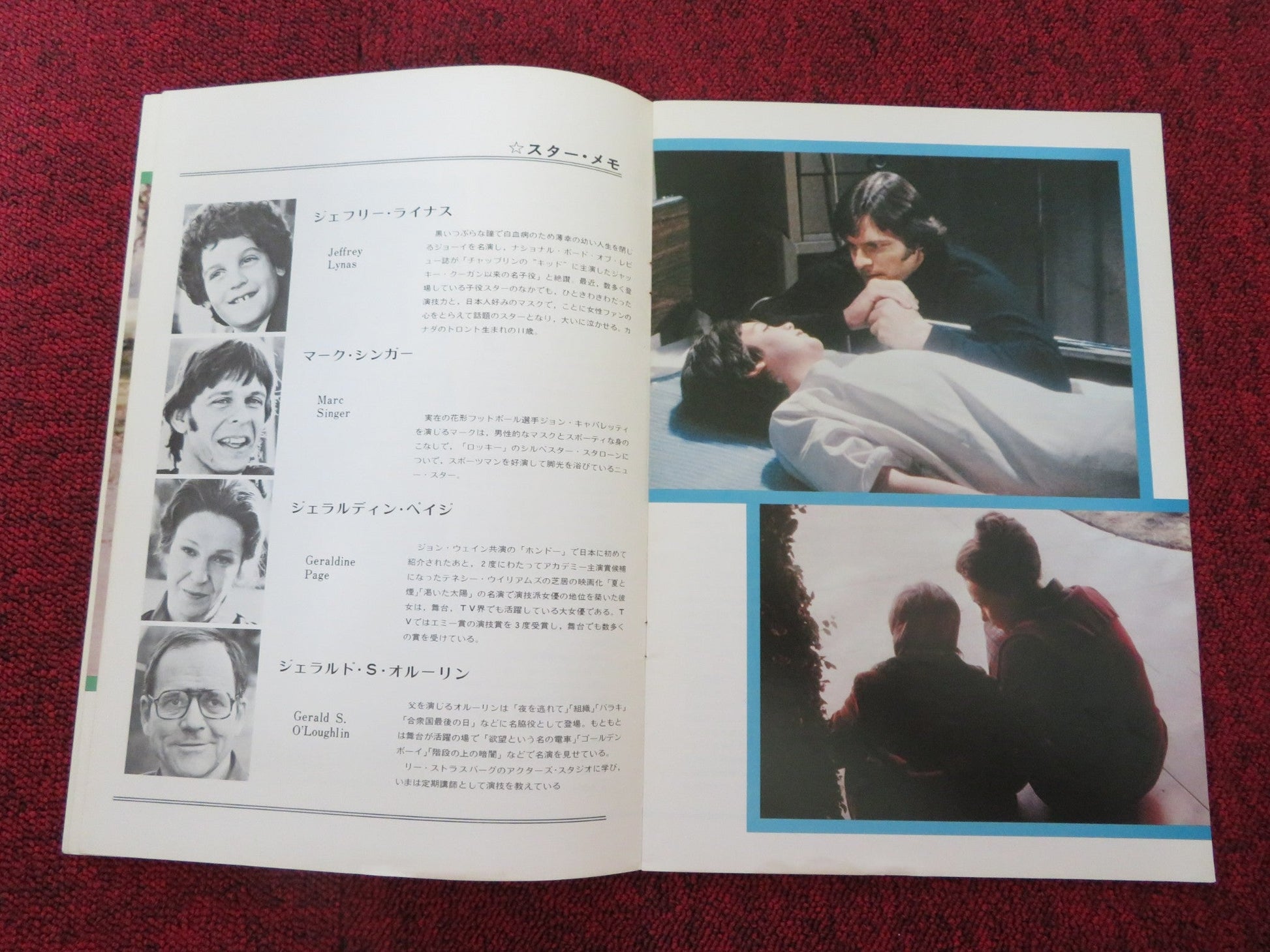 SOMETHING FOR JOEY JAPANESE BROCHURE / PRESS BOOK STEVE GUTTERNBERG 1977 Rendezvous Cinema Movie posters