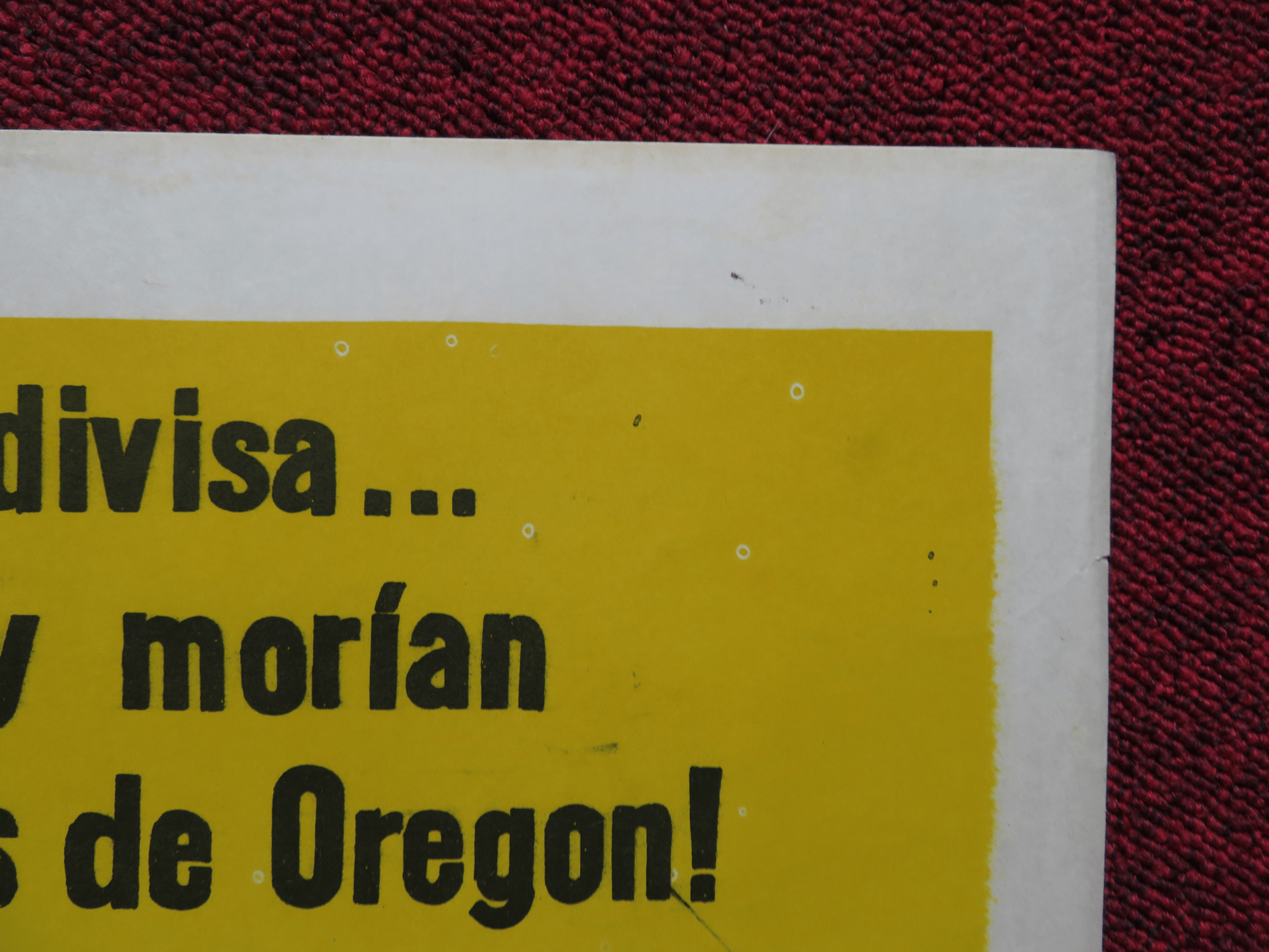 SOMETIMES A GREAT NOTION FOLDED ARGENTINA ONE SHEET POSTER P. NEWMAN FONDA '71 Rendezvous Cinema Movie posters