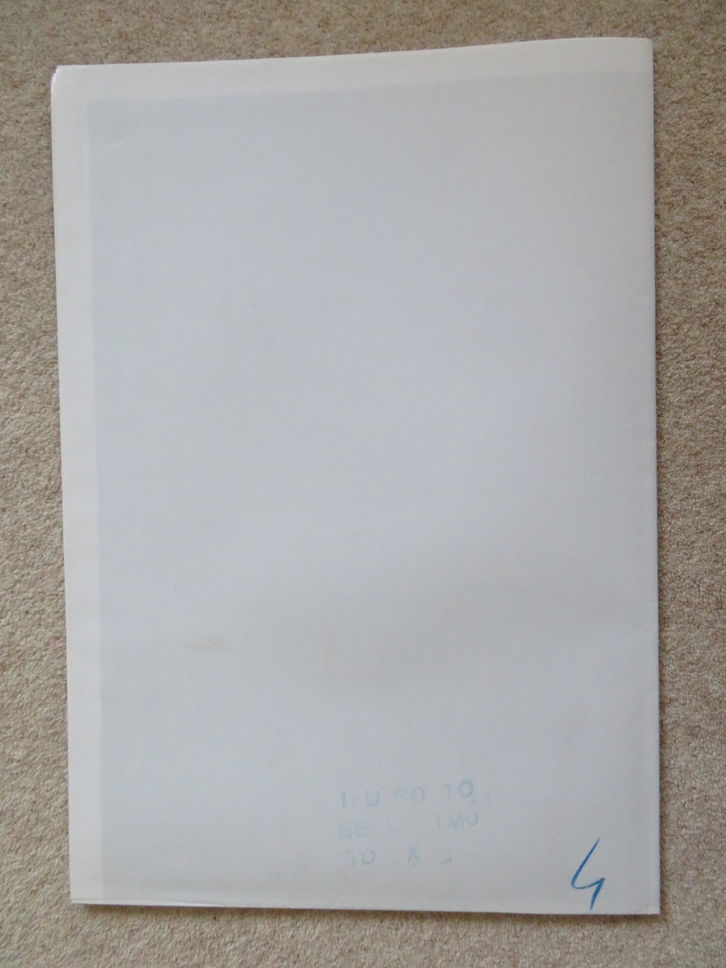 SOMEWHERE AMAZING ITALIAN 2 FOGLIO POSTER ISABELLA RAGONESE ALESSIO BONI 2015 Rendezvous Cinema Movie posters