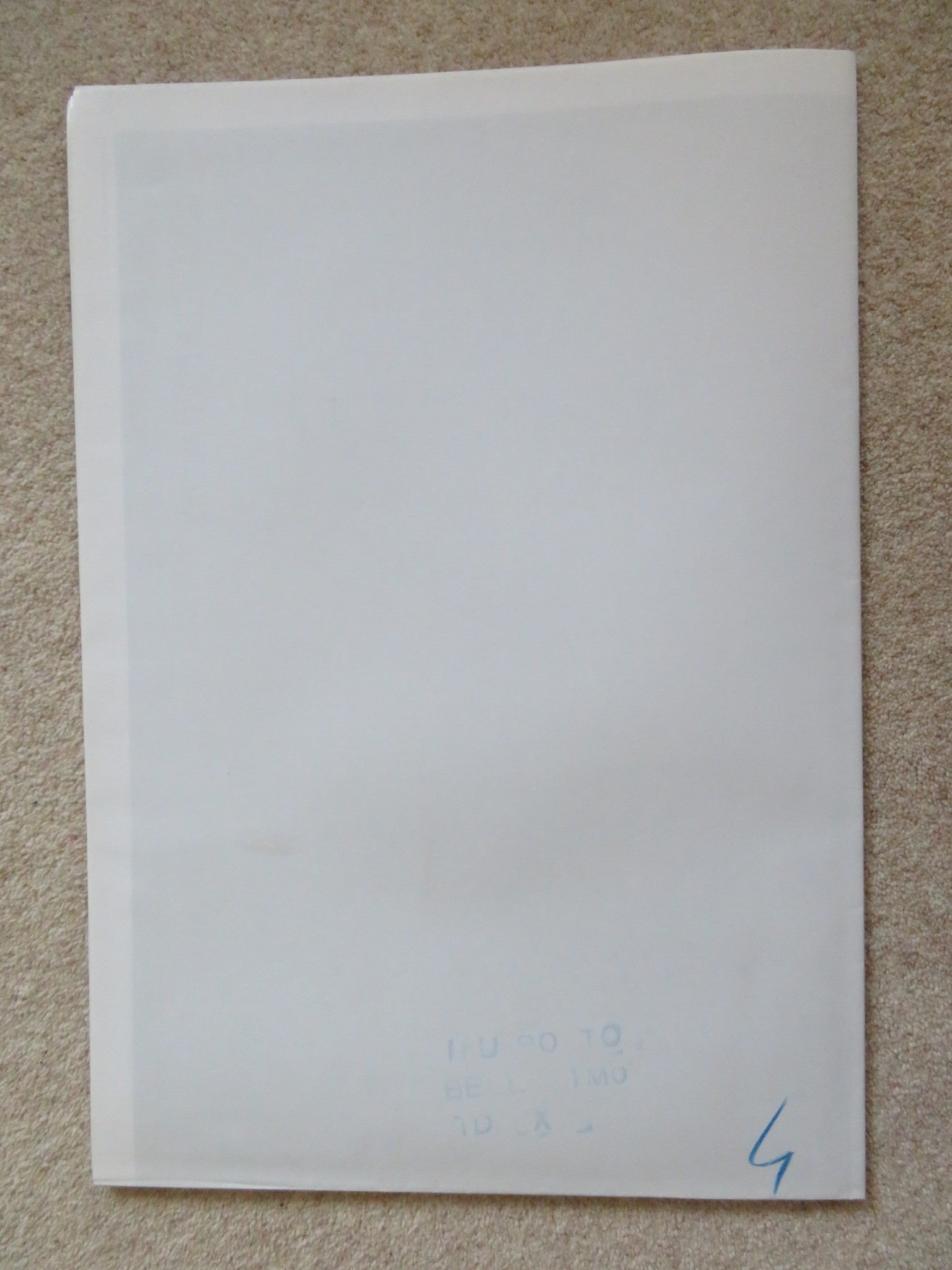 SOMEWHERE AMAZING ITALIAN 2 FOGLIO POSTER ISABELLA RAGONESE ALESSIO BONI 2015 Rendezvous Cinema Movie posters