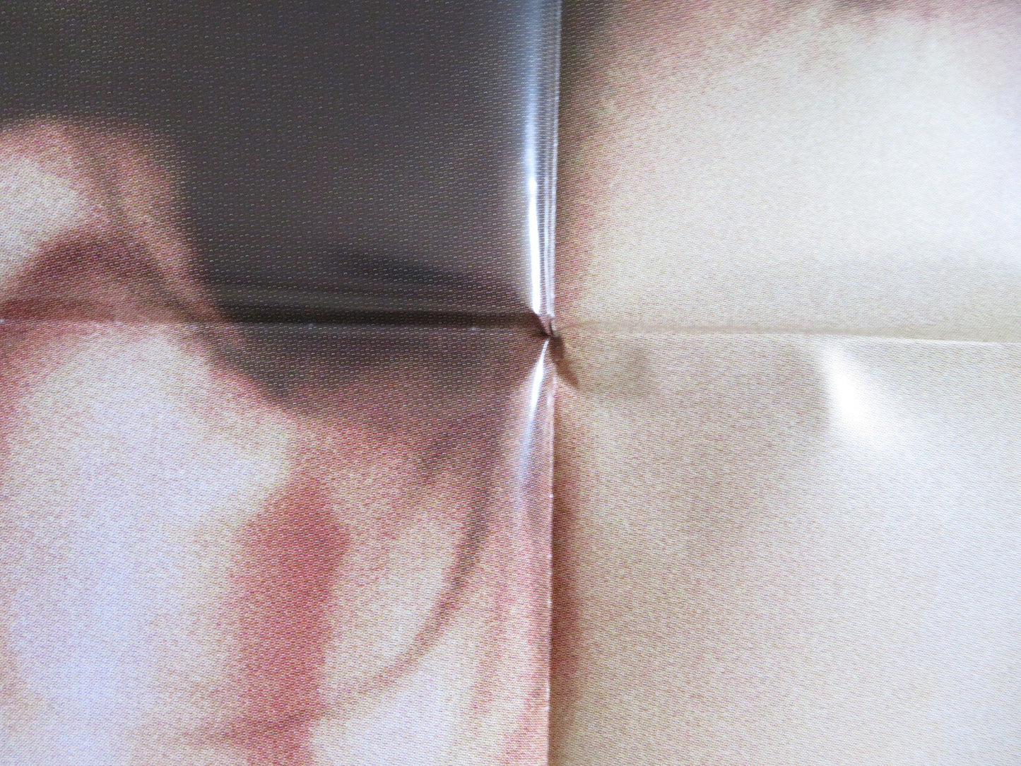 SOMEWHERE AMAZING ITALIAN 2 FOGLIO POSTER ISABELLA RAGONESE ALESSIO BONI 2015 Rendezvous Cinema Movie posters