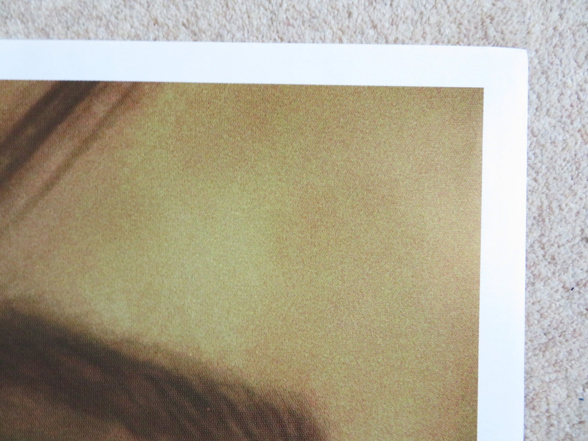 SOMEWHERE AMAZING ITALIAN 2 FOGLIO POSTER ISABELLA RAGONESE ALESSIO BONI 2015 Rendezvous Cinema Movie posters