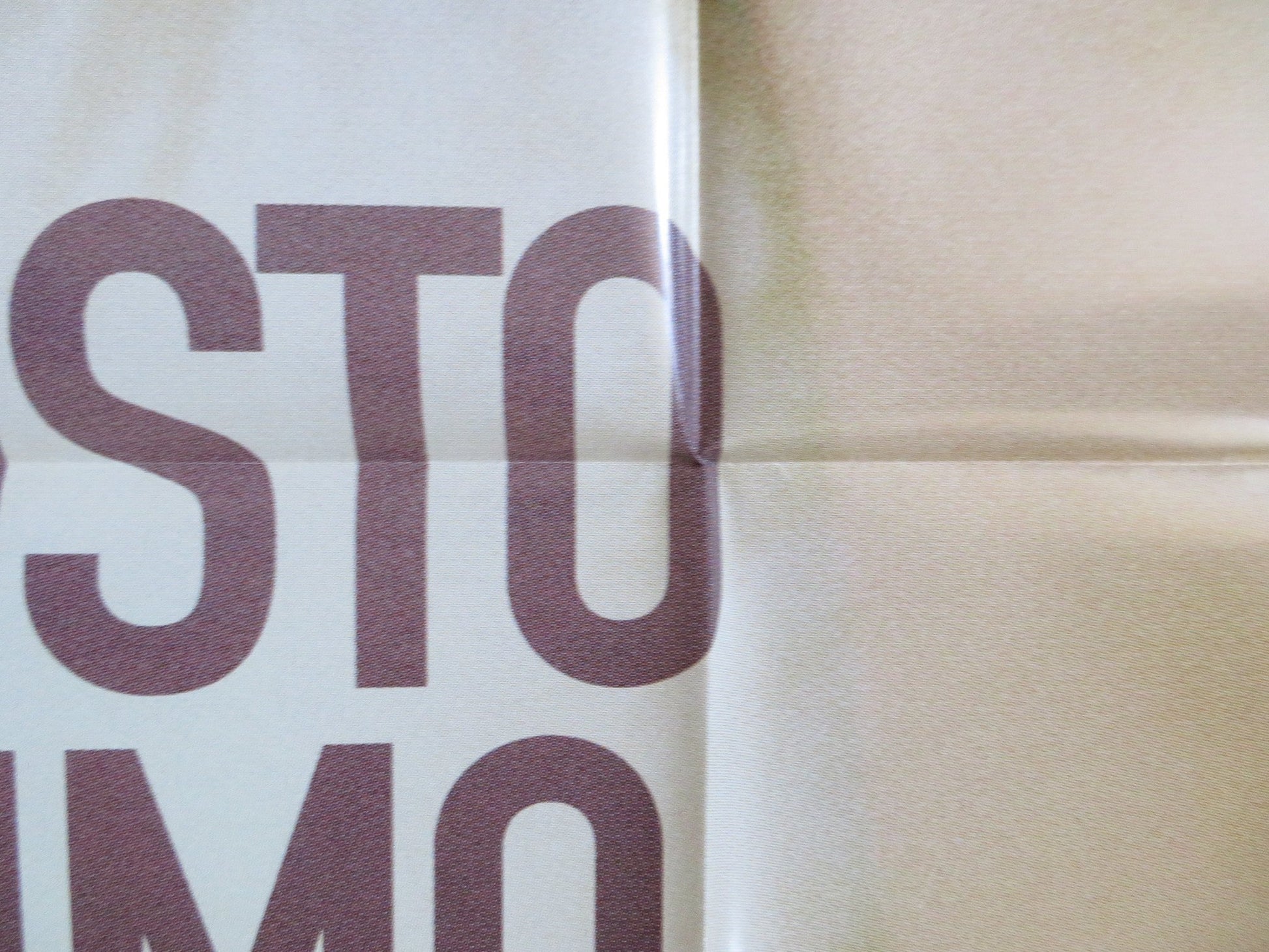 SOMEWHERE AMAZING ITALIAN 2 FOGLIO POSTER ISABELLA RAGONESE ALESSIO BONI 2015 Rendezvous Cinema Movie posters