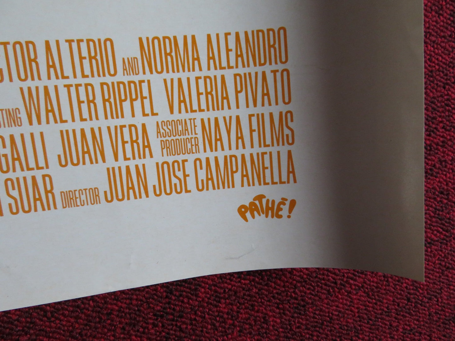 SON OF THE BRIDE UK QUAD (30"x 40") ROLLED POSTER RICARDO DARIN H. ALTERIO 2001 Rendezvous Cinema Movie posters