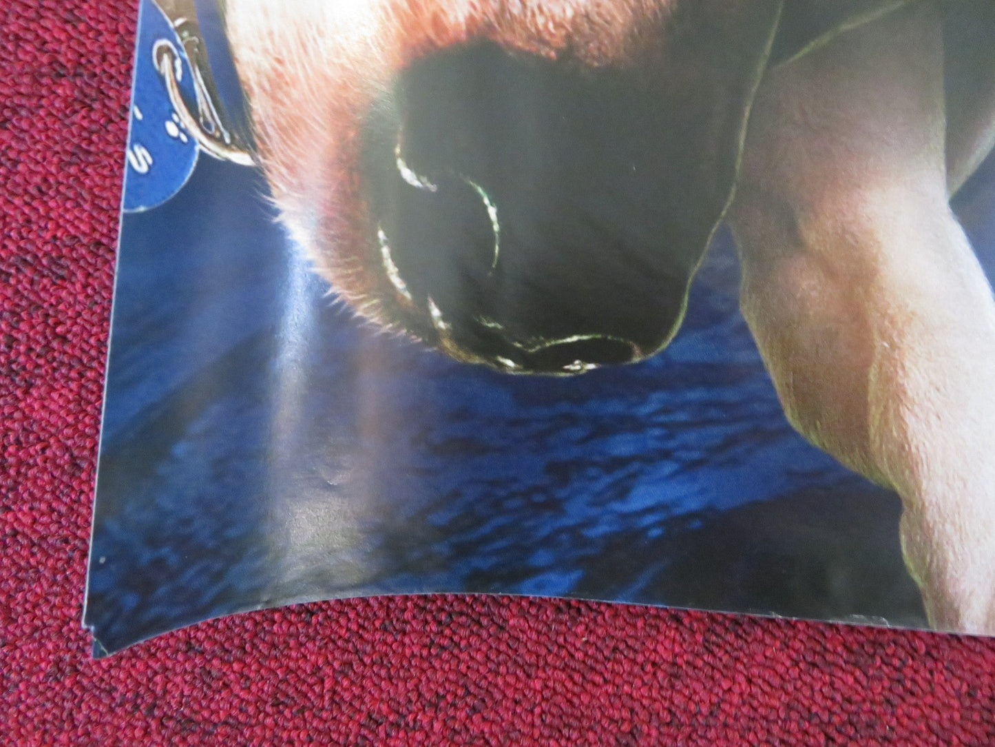 SON OF THE MASK UK QUAD (30"x 40") ROLLED POSTER JAMIE KENNEDY ALAN CUMMING 2005 Rendezvous Cinema Movie posters