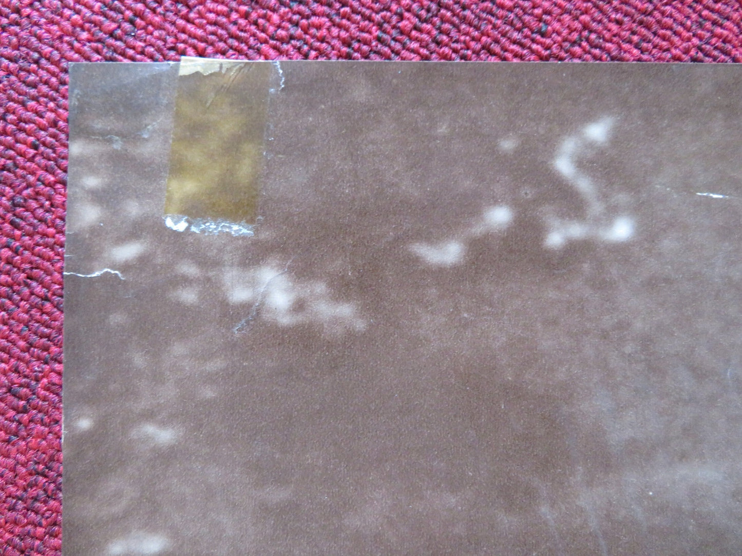 SOTTO IL SEGNO DELLO SCORPIONE ITALIAN FOGLIO POSTER GIAN MARIA VOLONTE 1969 Rendezvous Cinema Movie posters