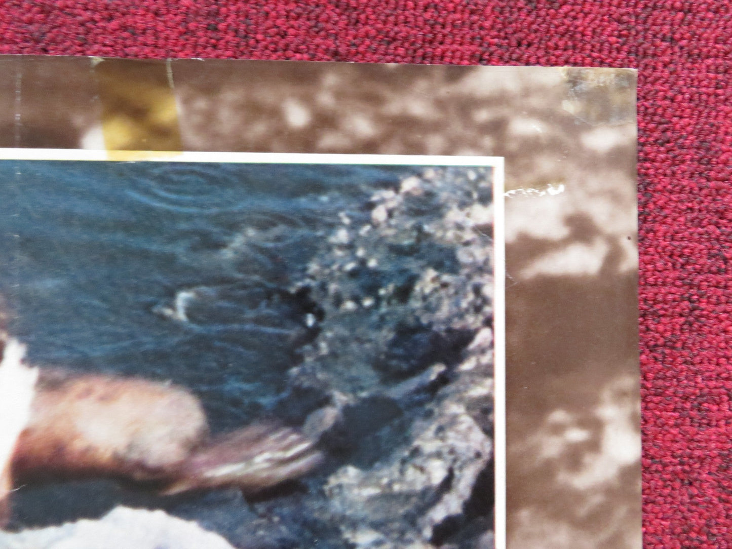 SOTTO IL SEGNO DELLO SCORPIONE ITALIAN FOGLIO POSTER GIAN MARIA VOLONTE 1969 Rendezvous Cinema Movie posters