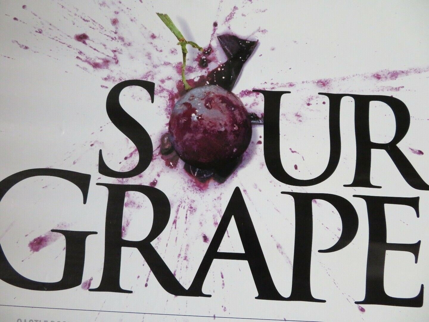 SOUR GRAPES US ONE SHEET ROLLED POSTER LARRY DAVID JACK BURNS 1998 - Rendezvous Cinema