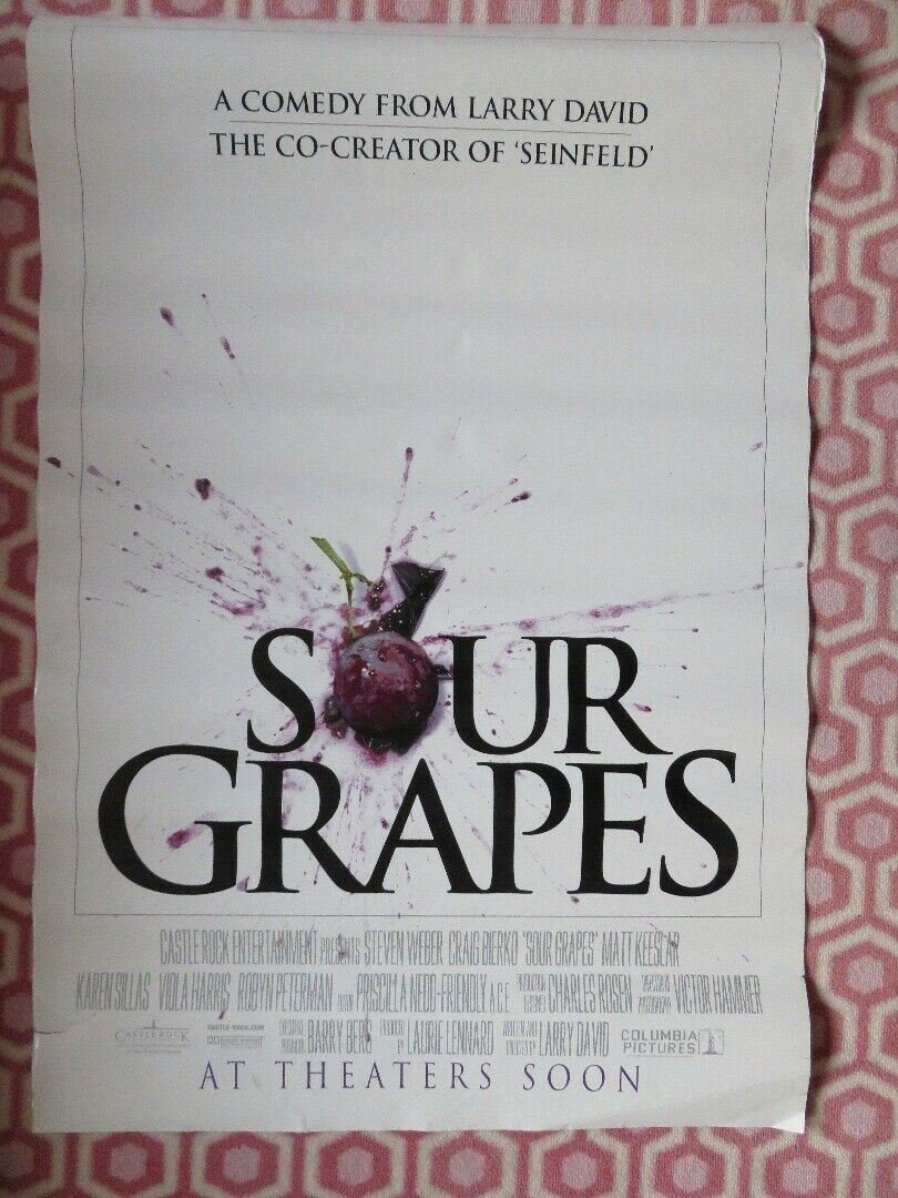 SOUR GRAPES US ONE SHEET ROLLED POSTER LARRY DAVID JACK BURNS 1998 - Rendezvous Cinema