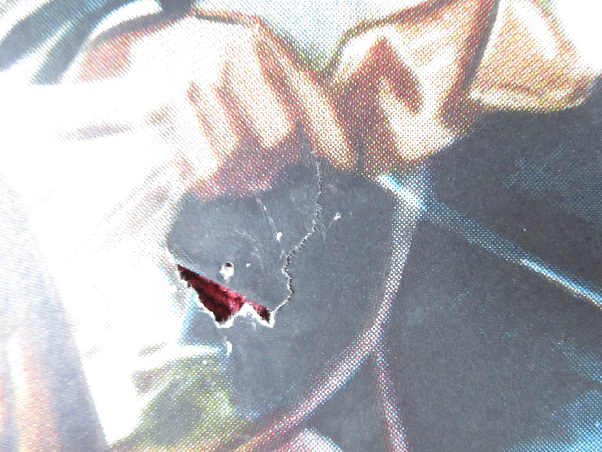 SOUTH PACIFIC TRAIL FOLDED US ONE SHEET POSTER REX ALLEN SLIM PICKENS 1952 Rendezvous Cinema Movie posters