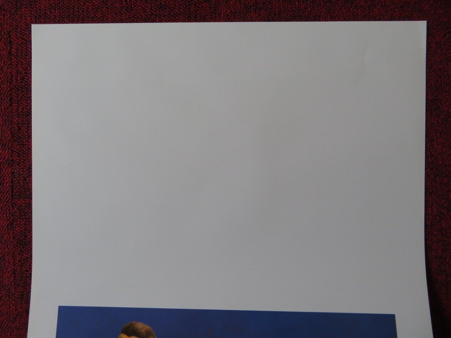 SPACE CHIMPS ITALIAN LOCANDINA (27.5"x13") POSTER ANDY SAMBERG CHERYL HINES 2008 Movie posters