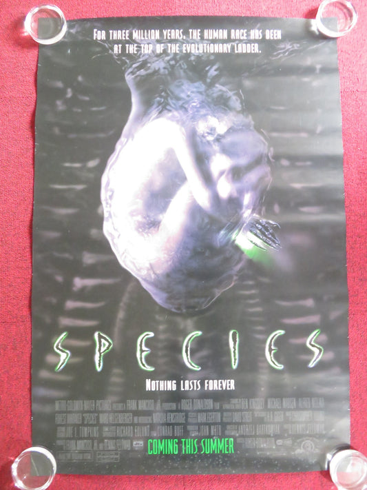 SPECIES US ONE SHEET ROLLED POSTER BEN KINGSLEY MICHAEL MADSEN 1995 Rendezvous Cinema Movie posters
