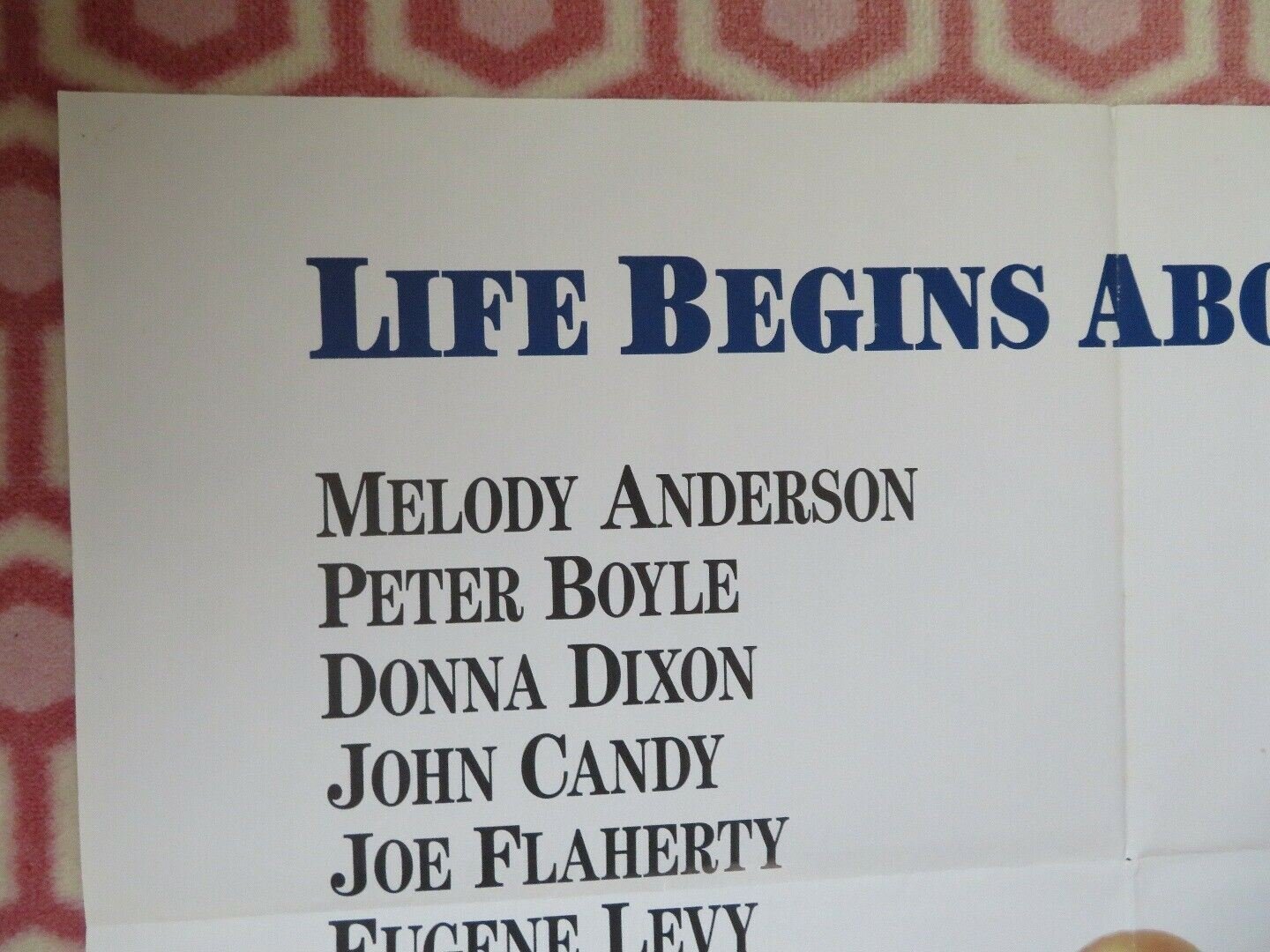 SPEED ZONE US ONE SHEET POSTER PETER BOYLE JOHN CANDY Movie posters