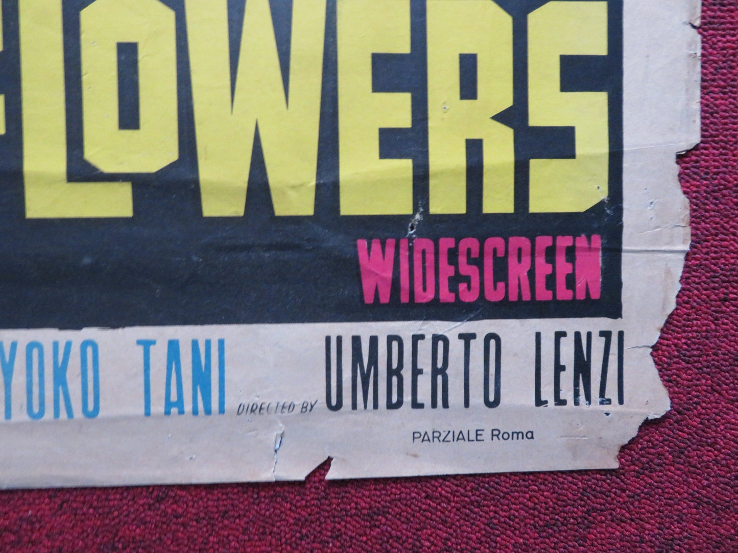 SPIES LOVE FLOWERS SPANISH POSTER ROGER BROWNE EMMA DANIELI 1966 Rendezvous Cinema Movie posters