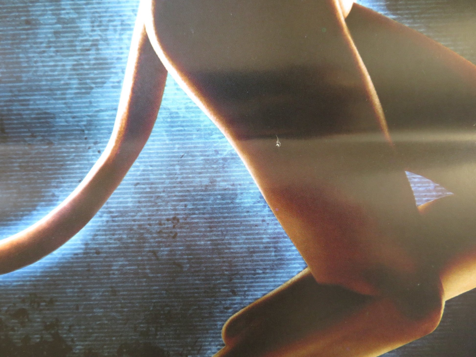 SPLICE ITALIAN LOCANDINA POSTER ADRIEN BRODY SARAH POLLEY 2009 Rendezvous Cinema Movie posters