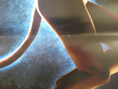 SPLICE ITALIAN LOCANDINA POSTER ADRIEN BRODY SARAH POLLEY 2009 Rendezvous Cinema Movie posters