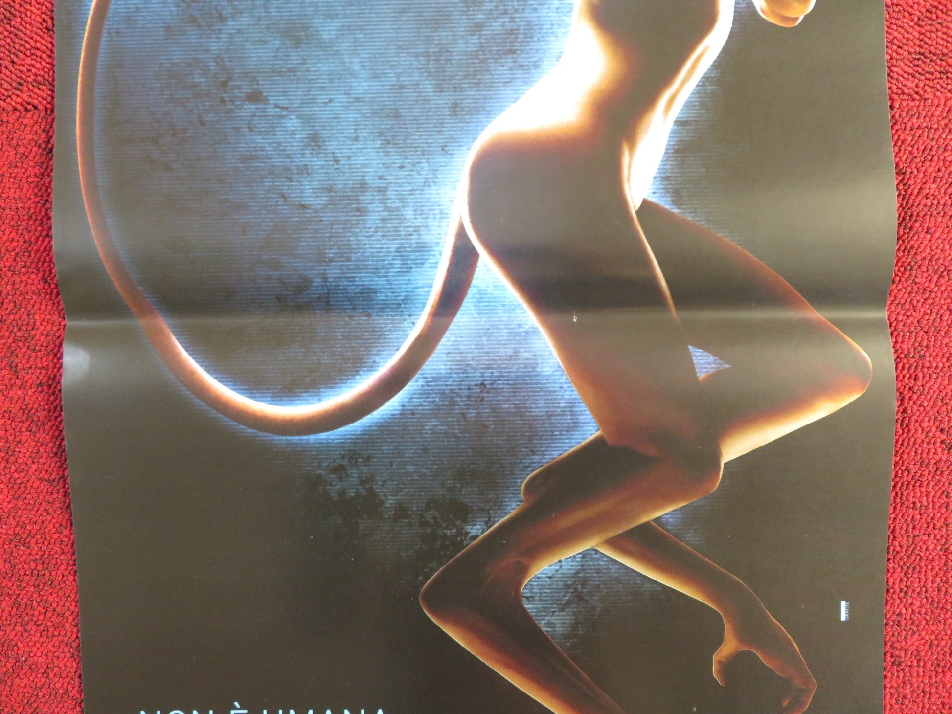 SPLICE ITALIAN LOCANDINA POSTER ADRIEN BRODY SARAH POLLEY 2009 Rendezvous Cinema Movie posters