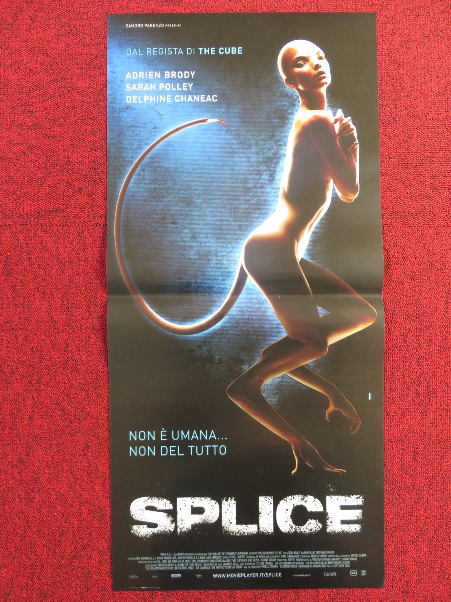 SPLICE ITALIAN LOCANDINA POSTER ADRIEN BRODY SARAH POLLEY 2009 Rendezvous Cinema Movie posters
