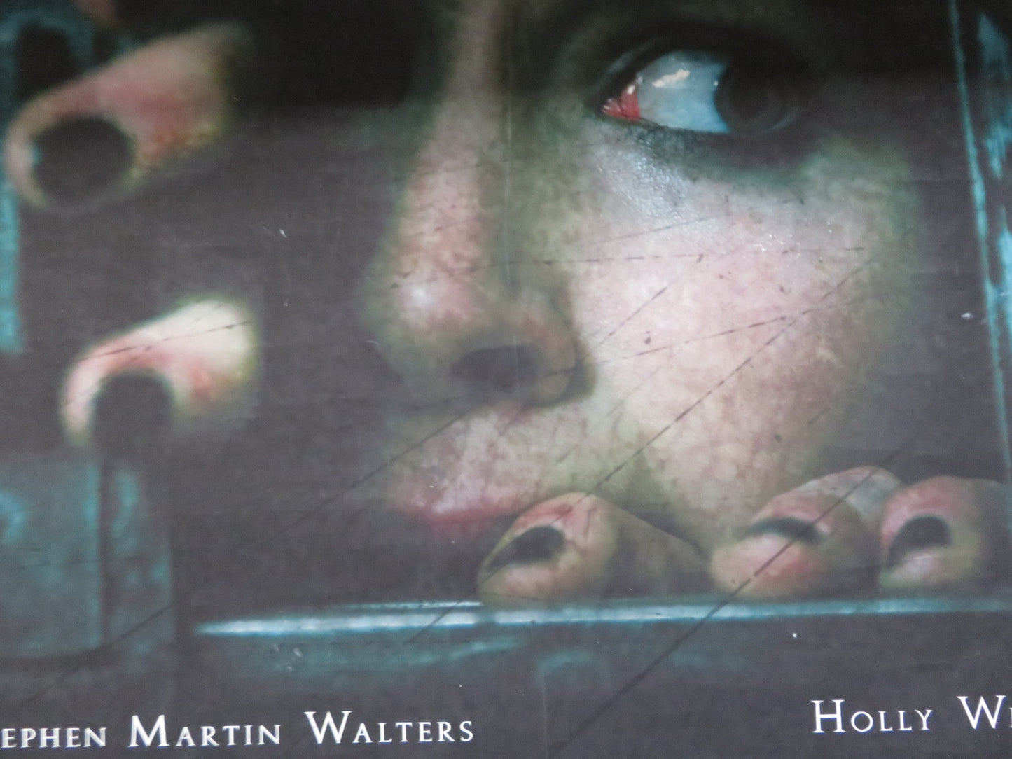 SPLINTERED POSTER STEPHEN WALTERS HOLLY WESTON 2010 Rendezvous Cinema Movie posters