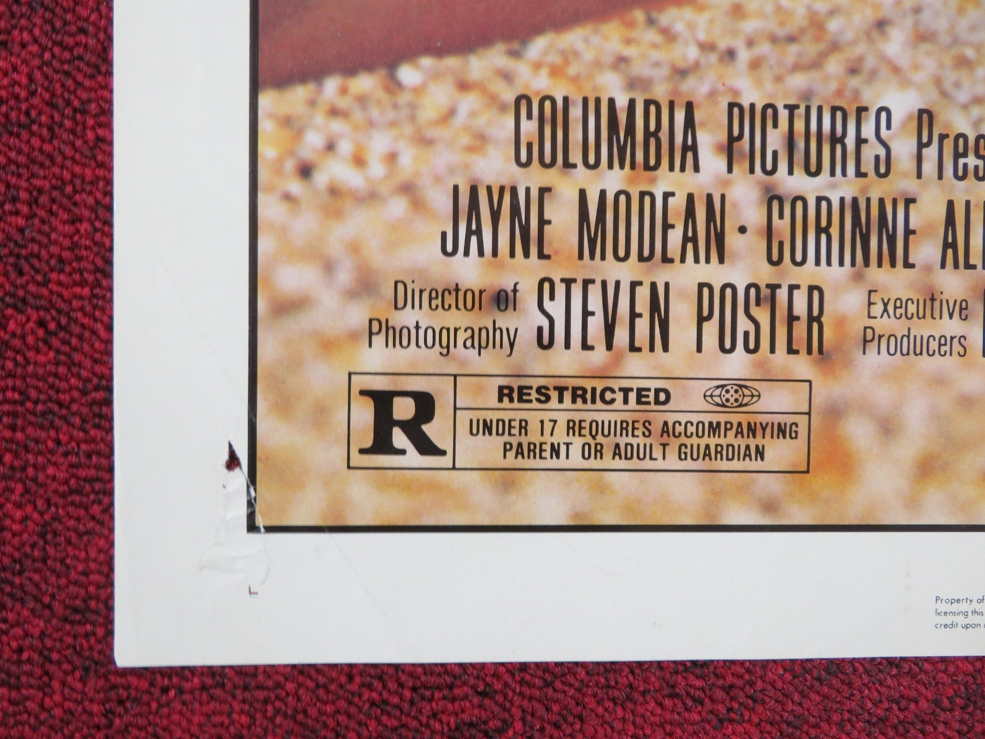 SPRING BREAK - B FOLDED US ONE SHEET POSTER DAVID KNELL PERRY LANG 1983 Rendezvous Cinema Movie posters