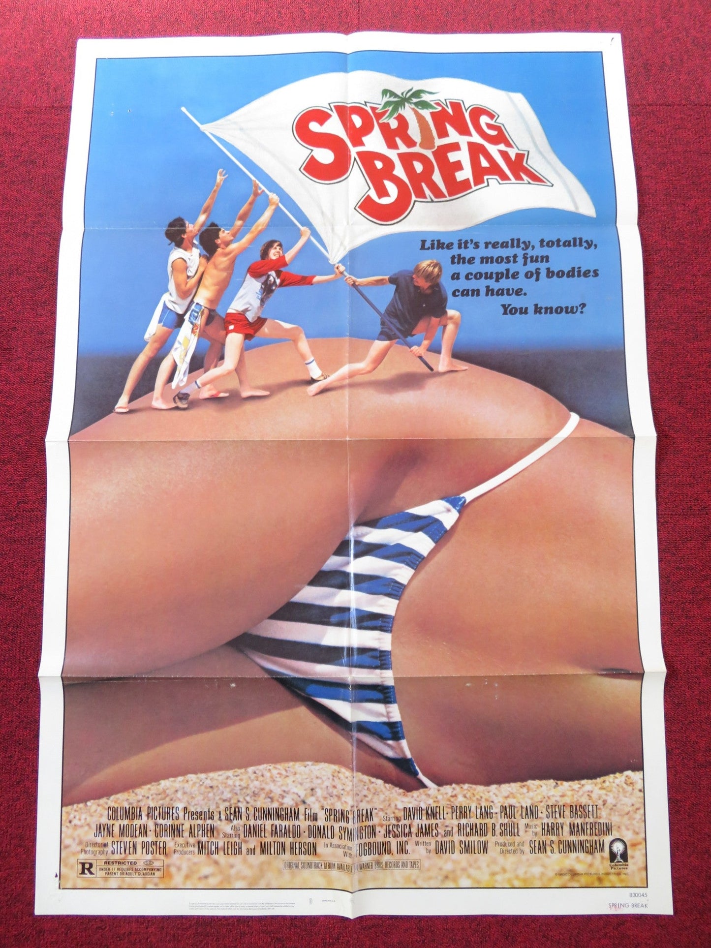 SPRING BREAK - B FOLDED US ONE SHEET POSTER DAVID KNELL PERRY LANG 1983 Rendezvous Cinema Movie posters
