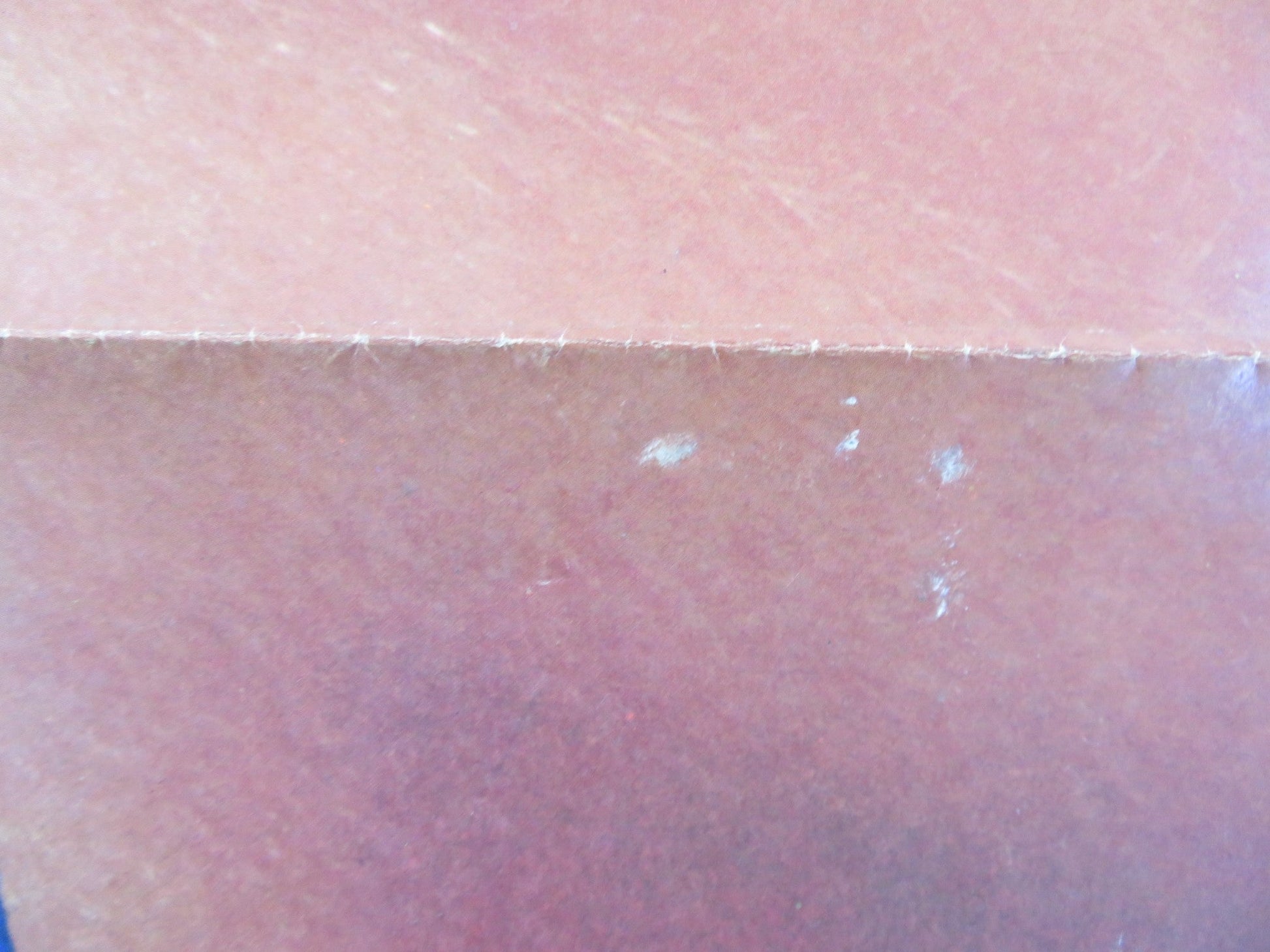 SPRING BREAK - B FOLDED US ONE SHEET POSTER DAVID KNELL PERRY LANG 1983 Rendezvous Cinema Movie posters