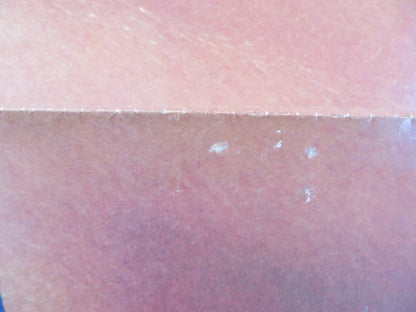 SPRING BREAK - B FOLDED US ONE SHEET POSTER DAVID KNELL PERRY LANG 1983 Rendezvous Cinema Movie posters