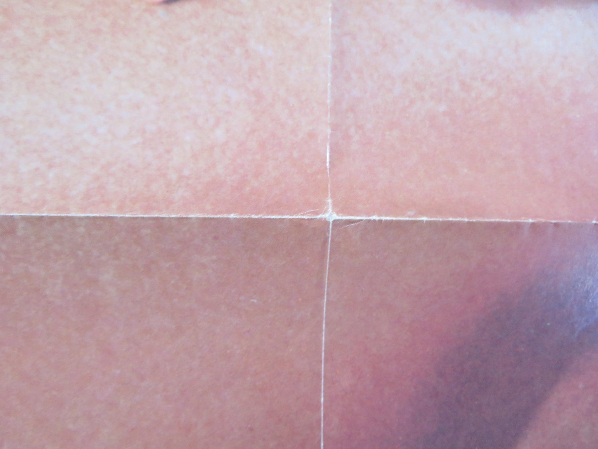 SPRING BREAK - B FOLDED US ONE SHEET POSTER DAVID KNELL PERRY LANG 1983 Rendezvous Cinema Movie posters