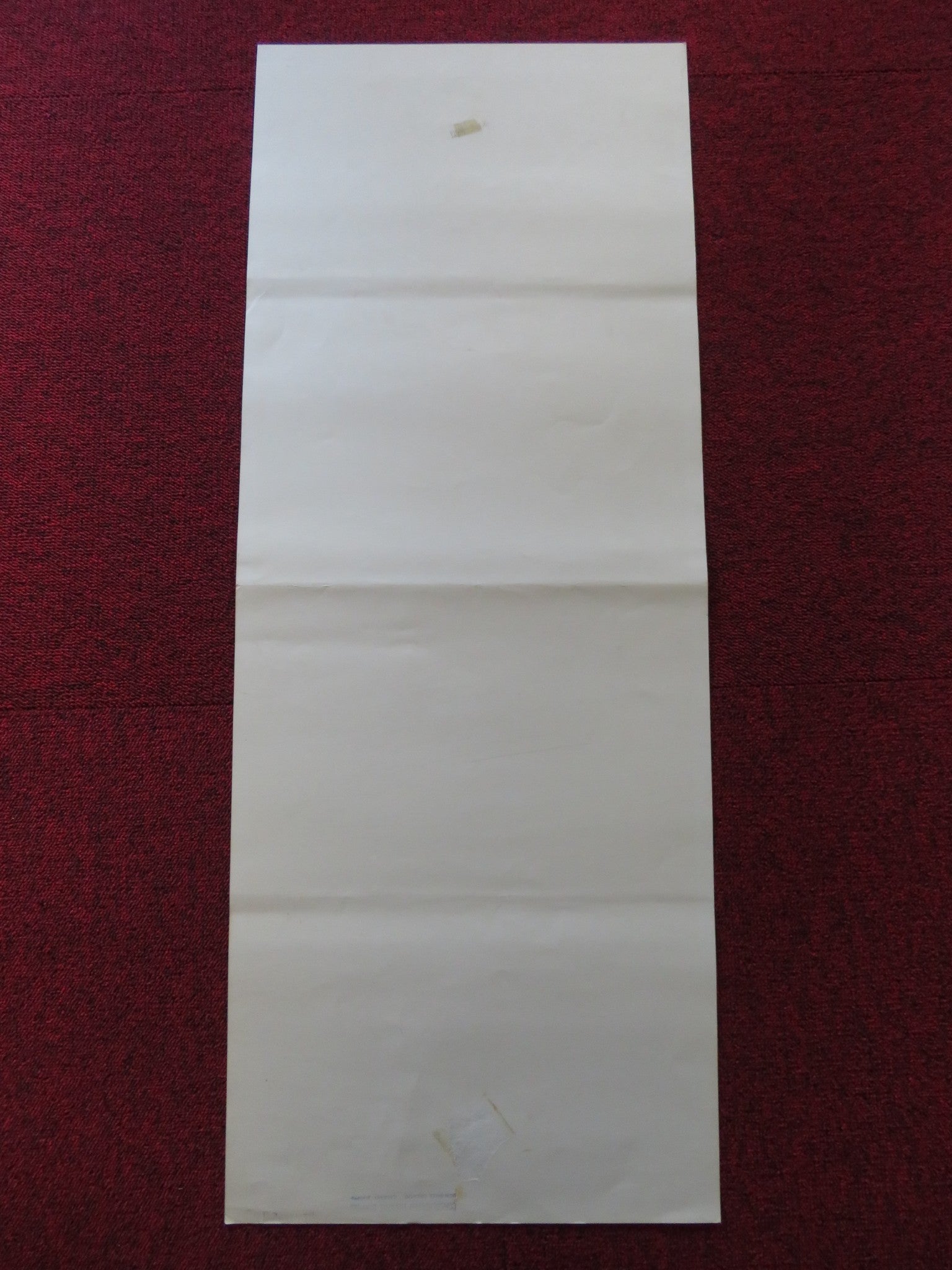 SPRING BREAK US INSERT (14"x 36") POSTER DAVID KNELL PERRY LANG 1983 Rendezvous Cinema Movie posters